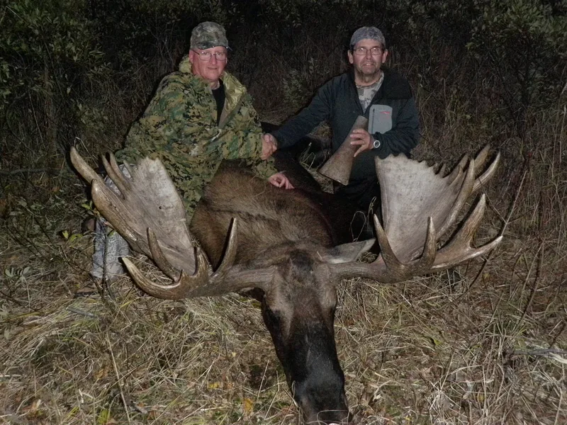 Two hunters with a bull moose in interior Alaska, one holding a Bull Magnet moose call