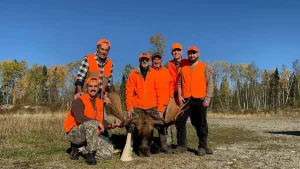 Northern Ontario hunting party with the 1500 pound bull moose called in with the Bull Magnet