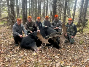 Maine hunter with a bull moose taken using a Bull Magnet moose call